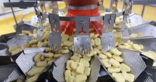 肉雞出欄20.45億只 山東為全國肉類食品安全供應持續保駕護航