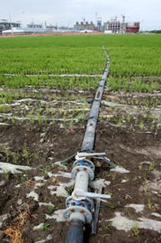 天業大力使用低汞觸媒，敢當中國氯堿行業無汞化的探路先鋒